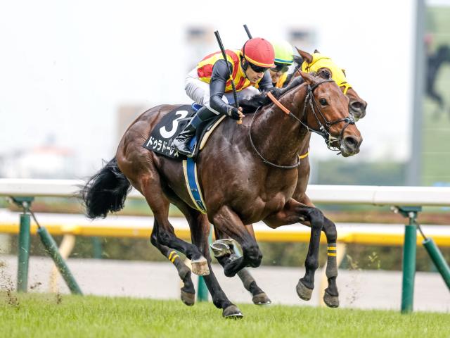 【七夕賞出走馬・騎手確定】ドゥラドーレス＆戸崎圭太騎手、シリウスコルト＆古川吉洋騎手など15頭