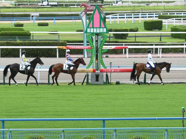 祖母は海外G1・3勝の名牝 マーシフルルーラーが待望のデビュー