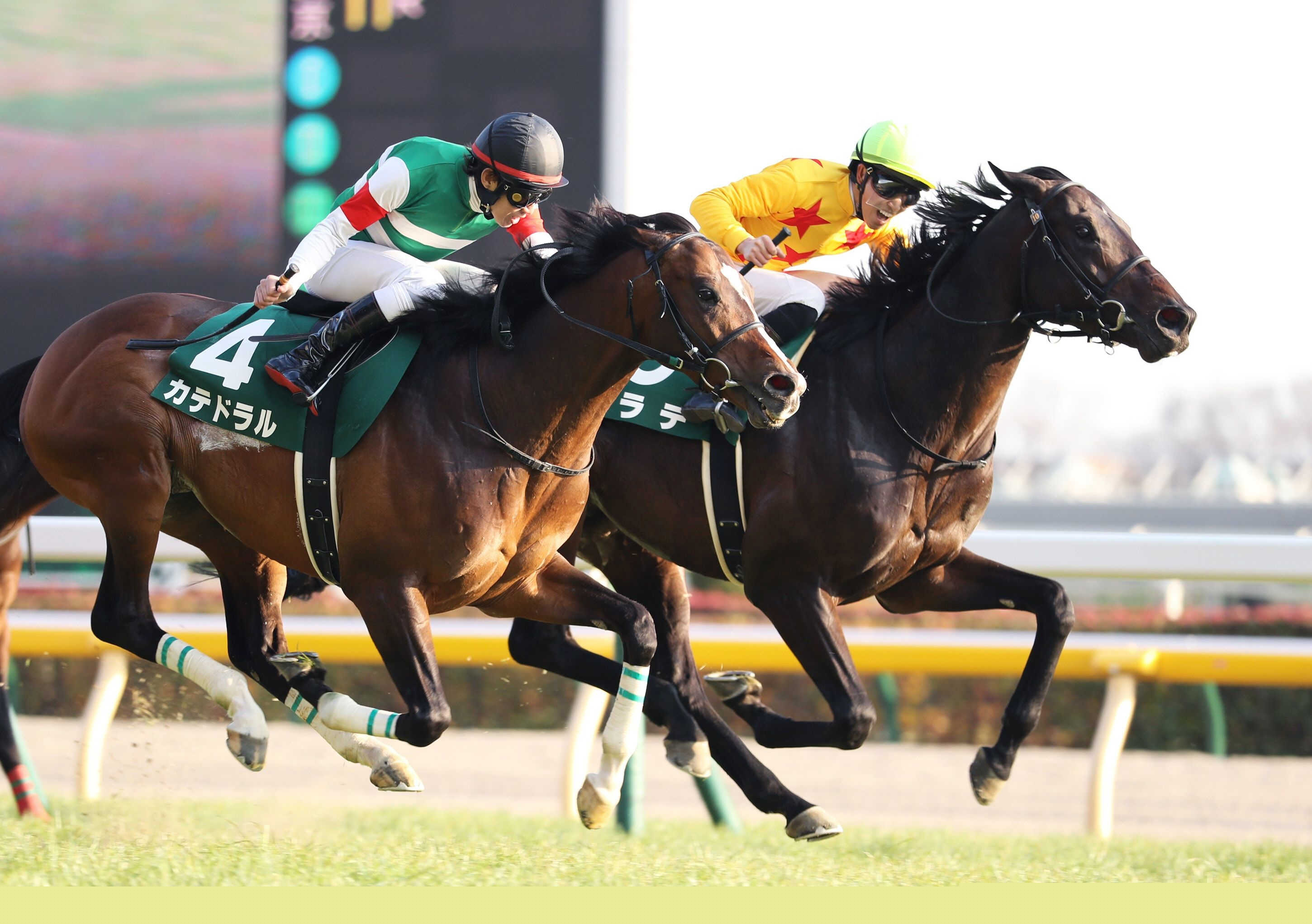 重賞３勝の９歳馬カラテが屈腱炎で現役引退　小田切光オーナー「本当にこの歳までよく走ってくれた。感謝しかない」