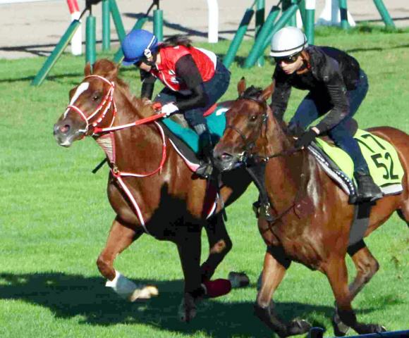 【POG】母は2009年函館SS制覇　矢作厩舎ゆかりの血統馬モズプリフォールが13日の函館千二でデビュー