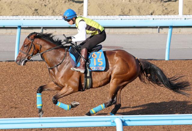 【七夕賞】オニャンコポンが不振脱出へ　小島調教師「使いながら間違いなく良くなっている」