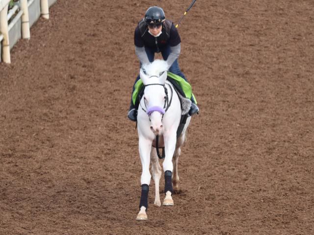 【JRA新馬戦】ソダシの半妹マルガ、チェルヴィニアの半弟チェルヴァーラなどがデビュー