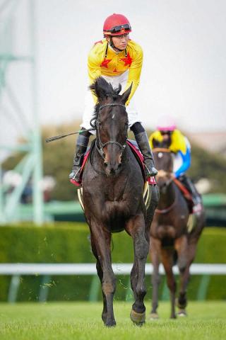 重賞3勝のカラテが引退　小田切光オーナーがXで発表　屈腱炎を発症
