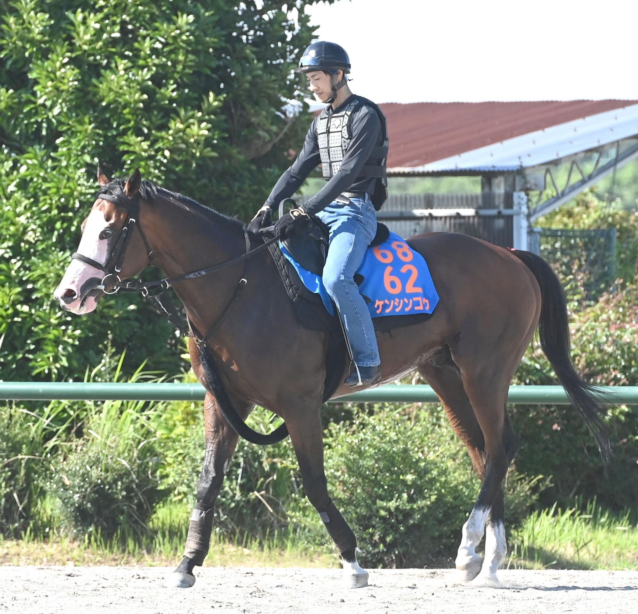 ケンシンコウが現役引退＆種牡馬入りへ　小西師「８歳までよく頑張ってくれた」ジュライＳで競走中止