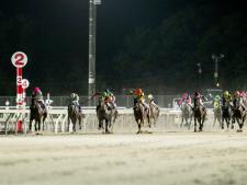 【門別・星雲賞結果】ミラクルヴォイスが人気に応えて重賞2勝目を挙げる