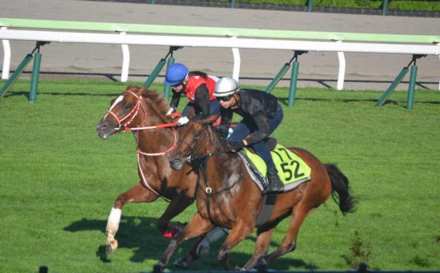 【函館新馬戦】クラン　勝って連闘で2歳Sも!昆師「距離は短いところだろうね」