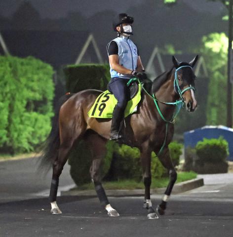 【小倉新馬戦】クールフラン　厩舎期待の若駒　池添師「総合力は高いと思う」