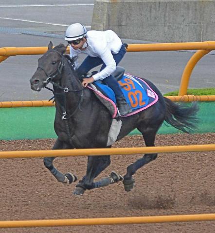 【巴賞】コントラポスト　滞在効果で万全　横山和「雰囲気は申し分ない」