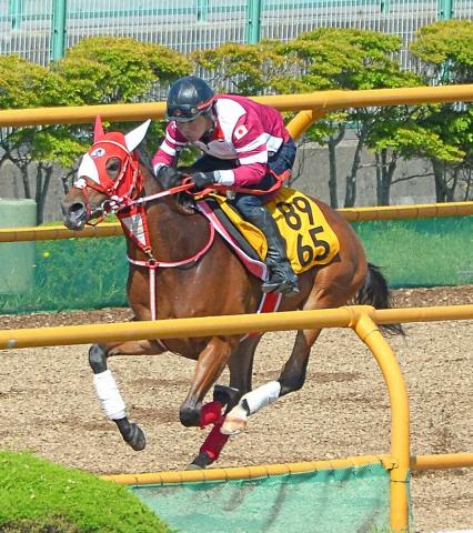 【巴賞】ドナベティ　ラスト伸び上々　矢作師「コーナー4回の競馬にトライするにはいい機会」