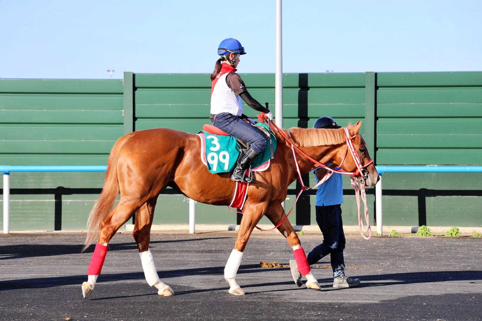 【新馬戦】モズプリフォール　好ダッシュ狙う　古川奈穂入念乗り込み、手応え上々「一生懸命で真面目な実戦タイプ」