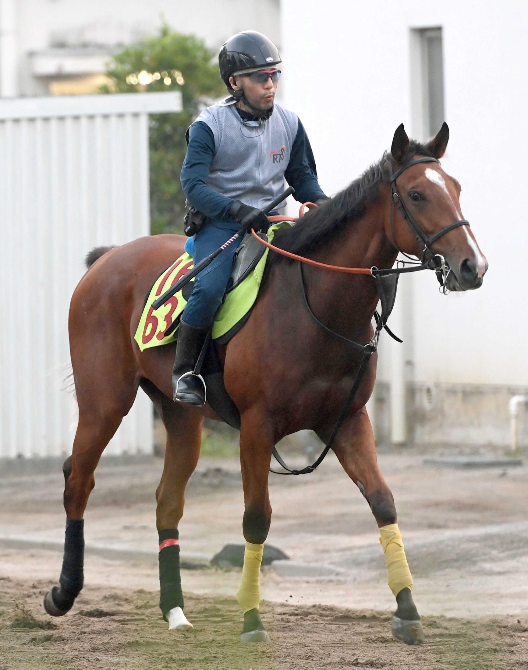 【新馬戦】ミスバレンシア　推定４７０キロの好馬体で初陣Ｖへ　今村聖奈も好感触「スピードがあって、能力を感じる馬」