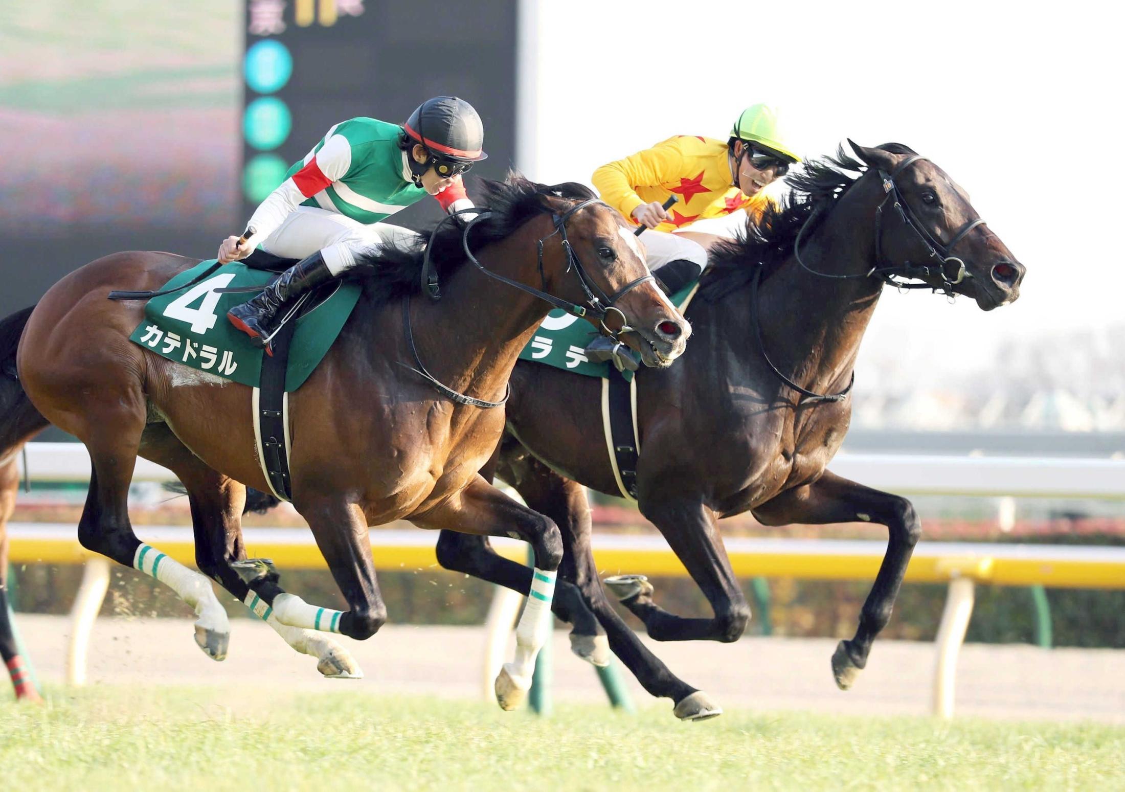 カラテ　屈腱炎のため現役引退へ　小田切光オーナーが発表「本当にこの歳までよく走ってくれた。感謝しかない」