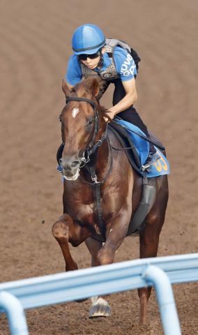 【七夕賞】「万全の状態で迎えられる」柴田大知騎手がコスモフリーゲンで4年7か月ぶりの重賞制覇目指す