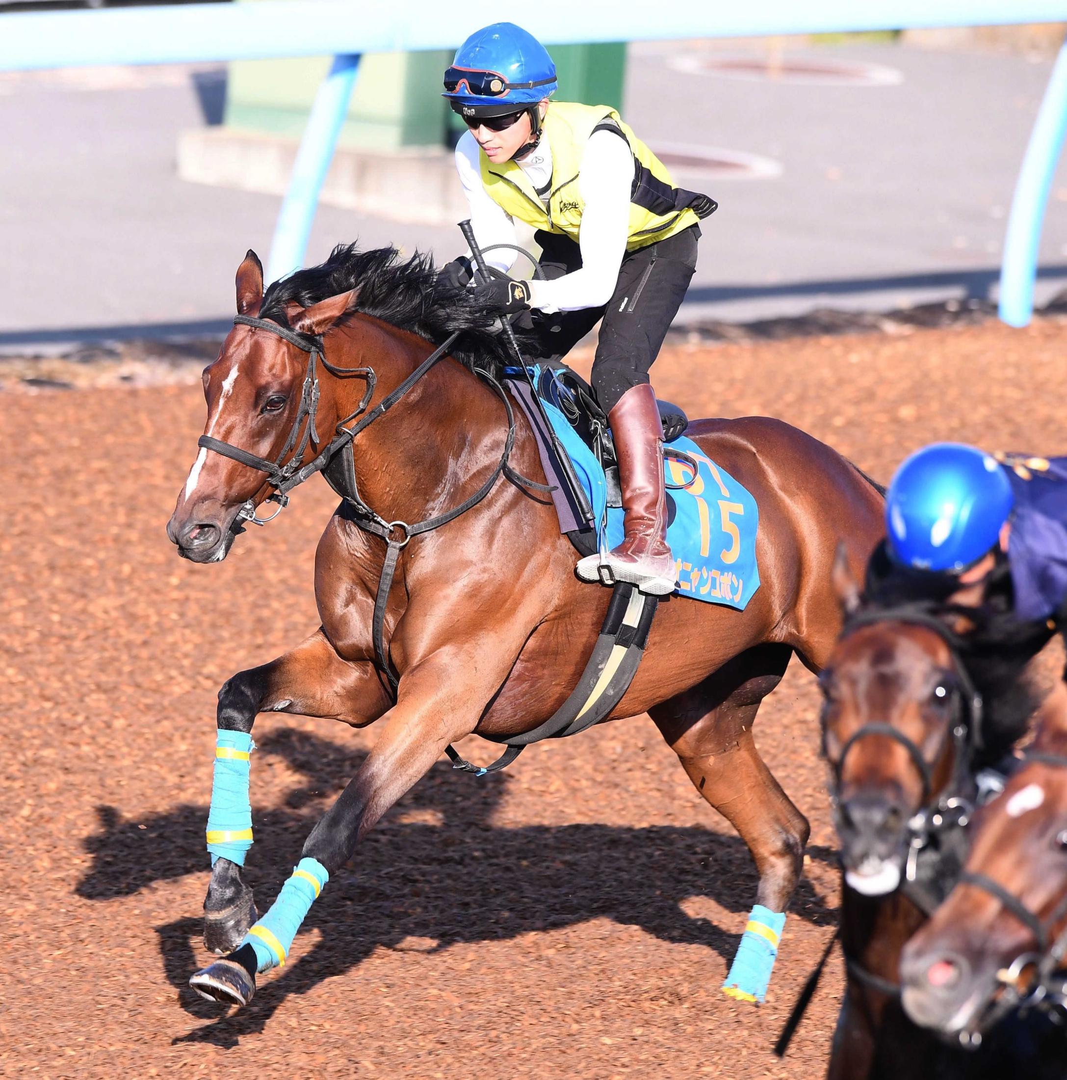 【七夕賞】オニャンコポン　一変ムード　気性面に大きな変化、落ち着き見せ状態上向き　小島師「明らかに良くなっている」