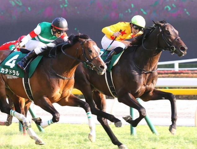 菅原明良騎手が自身重賞初制覇となったカラテをねぎらう「寂しいですけど無事に引退できて良かった」