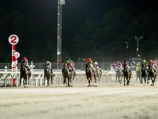 【門別・星雲賞結果】ミラクルヴォイスが人気に応えて重賞2勝目を挙げる