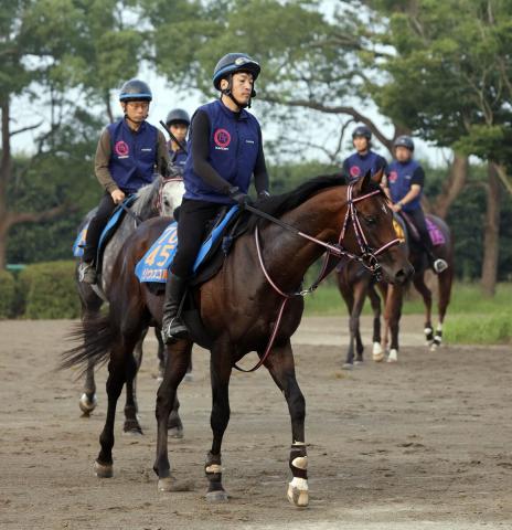 【七夕賞】トップハンデ58・5キロのシリウスコルトは5枠8番　ドゥラドーレスは大外15番　枠順確定