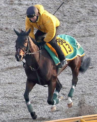 【五稜郭S】函館2戦2勝のエラトーは立て直して好仕上がり　陣営「休み明けでも力を出せる状態」