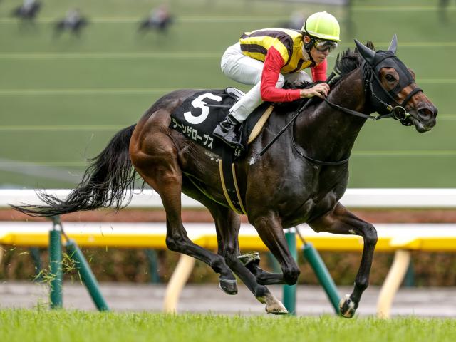 【週末情報】土曜函館メイン2頭出し武幸厩舎の手応えは？/馬三郎のつぶやき