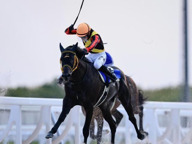 【函館2歳S】約9年ぶりに地方馬のJRA重賞制覇なるか 門別3戦2勝のスペシャルチャンスが参戦