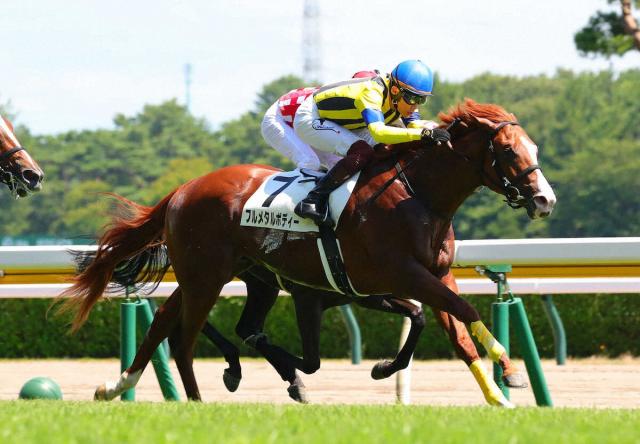 谷川岳S2着フルメタルボディーが安楽死　放牧先の坂路で転倒して骨折