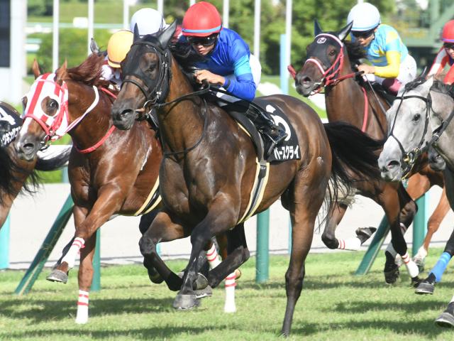 【今日の注目ポイント】芝のOP・安達太良Sと新馬ではソダシの半妹マルガがデビュー
