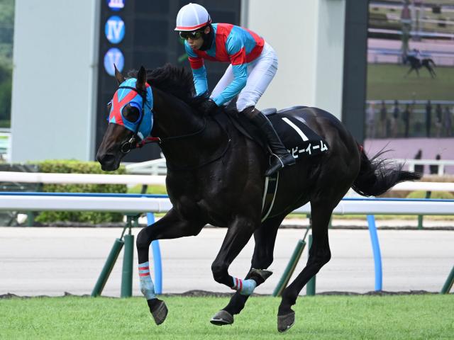 【ソレイユJS結果】ネビーイームが人気に応えて快勝