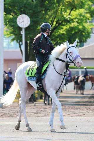 【函館5R・2歳新馬】G1・3勝ソダシの半妹、白毛のマルガが武豊騎手を背にデビュー戦でレコードV