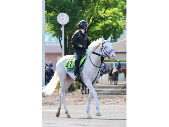 【函館5R・2歳新馬】G1・3勝ソダシの半妹、白毛のマルガが武豊騎手を背にデビュー戦でレコードV