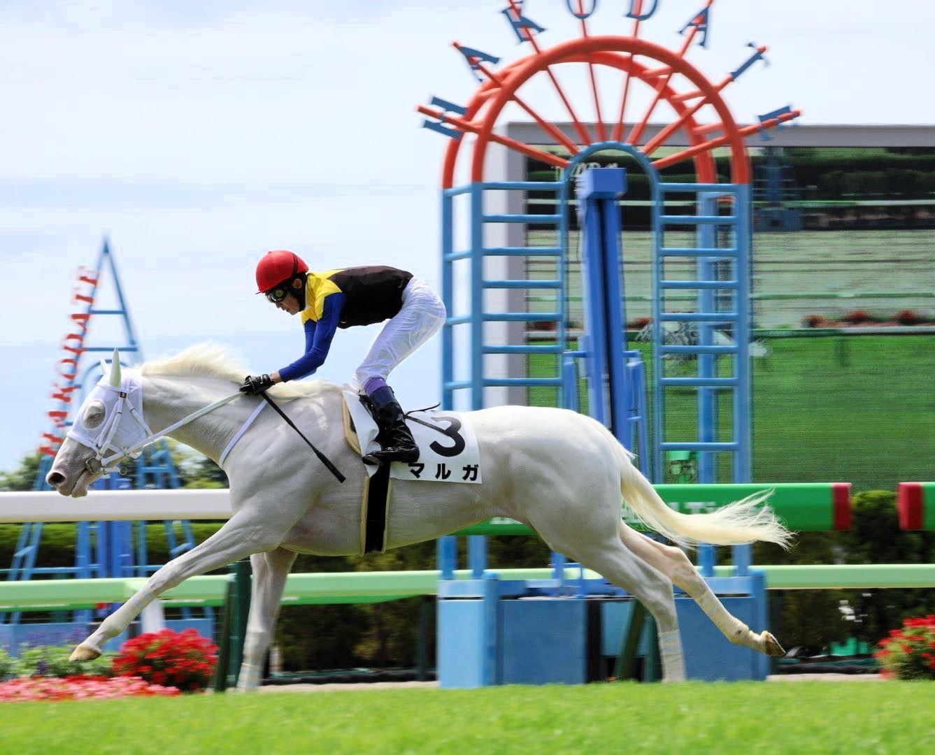 白毛馬マルガがレコードで白星発進　武豊「いい馬。柔らかい。マイルの大きなレースを目標に」　半姉にソダシ＆ママコチャと２頭のＧ１馬