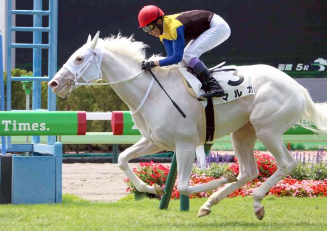 【函館5R・2歳新馬】ソダシ半妹マルガでデビューVの武豊騎手「ほっとしました」　レコード樹立に「素質はあります」