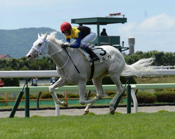 【函館5R・2歳新馬戦】断然人気の白毛馬マルガがレコードVデビュー　武豊「ホッとしました」