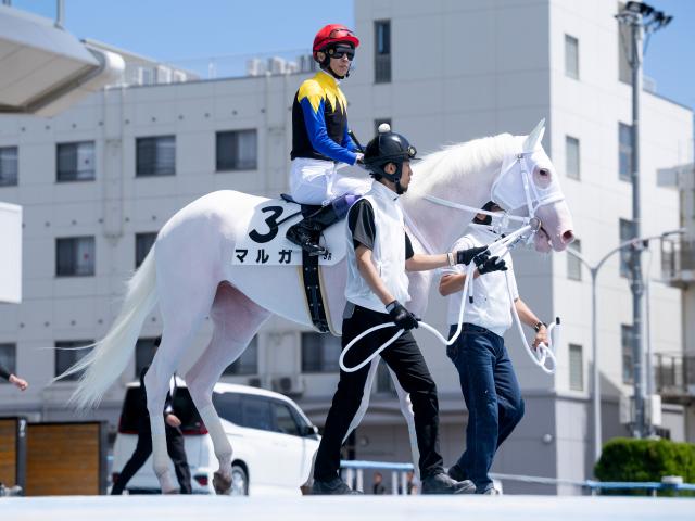 【メイクデビュー函館5Rレース後コメント】マルガ武豊騎手ら