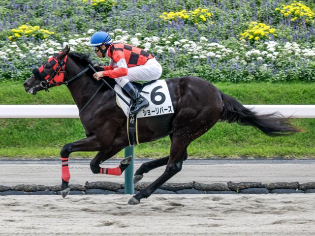 【福島6R新馬戦結果】フォーウィールドライブ産駒ショーリバースがV 津村明秀騎手はJRA通算700勝達成