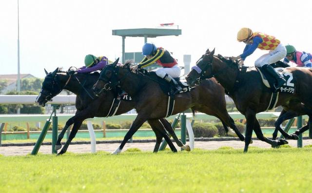 【函館11R・五稜郭S】4番人気パレハが2連勝でオープン入り