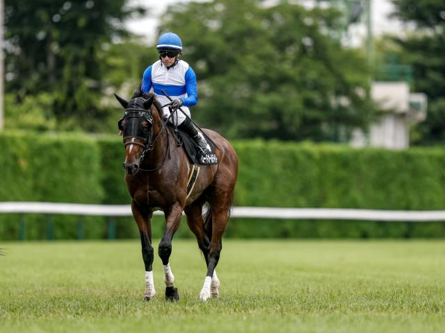 【信夫山特別レース後コメント】ロードオールライト内田博幸騎手ら