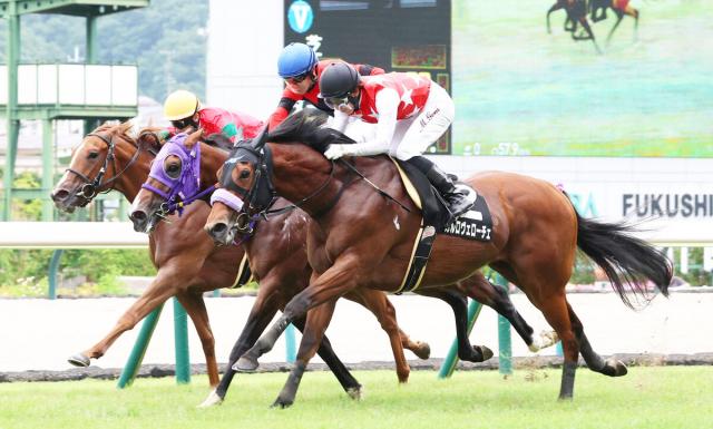 【福島11R・安達太良S】素質馬復活!　カルロヴェローチェが10戦ぶりV　丸山元気騎手「うなるほどの手応え」