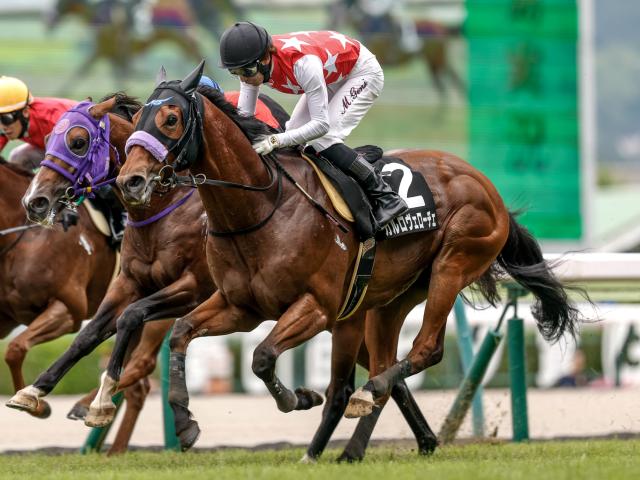 【安達太良S結果】カルロヴェローチェが差し切り、約2年半ぶりのV