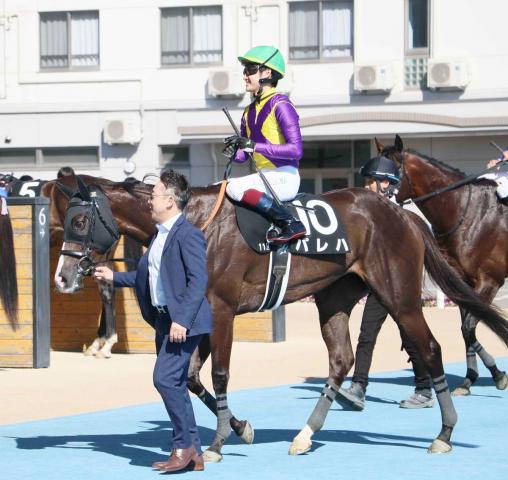 【函館11R・五稜郭S】パレハが2連勝でオープン入り　鮫島克駿騎手「差す形が板についてきた」クイーンSを目標に