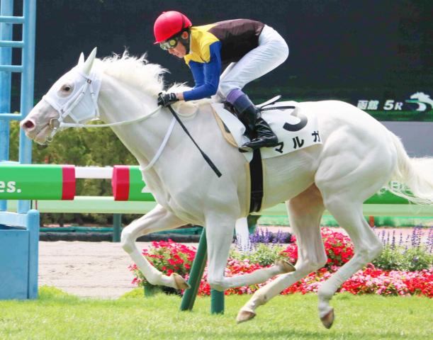 【函館5R・2歳新馬】武豊「素質がある」マルガ初陣2歳コースレコードVで姉ソダシ超え