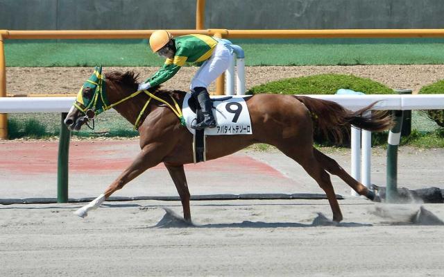 【函館1R・2歳未勝利戦】8番人気アパタイトテソーロがダートで一変V　吉田隼「いいスピードある」