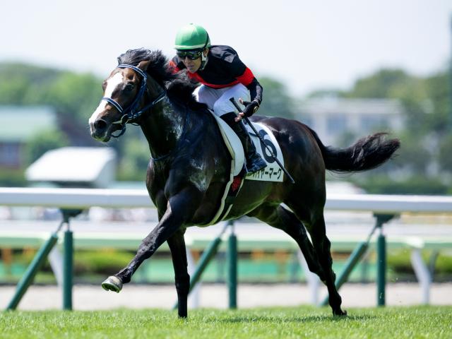 【函館5R新馬戦結果】ブリックスアンドモルタル産駒ハイヤーマークが突き抜けてV