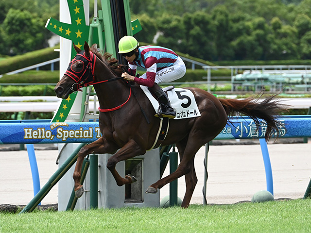 【小倉6R新馬戦結果】レイデオロ産駒ジュジュドールが逃げ切り快勝