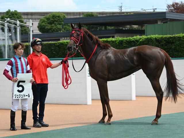 【メイクデビュー小倉6Rレース後コメント】ジュジュドール松山弘平騎手ら