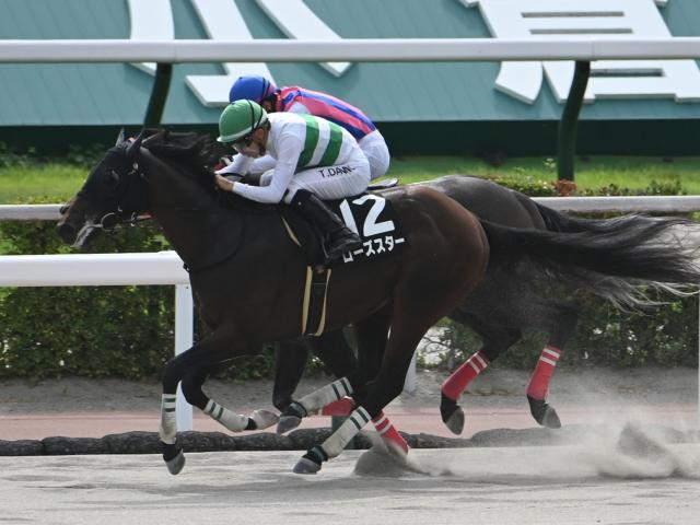 【阿蘇S結果】5番人気ローズスターが競り合いを制しオープン初V