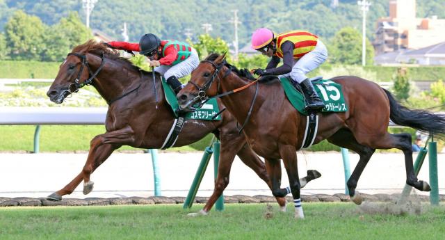 【七夕賞】直線詰め寄るもドゥラドーレス頭差2着　単独最多5勝逃した戸崎圭太騎手「前がしぶとく…」