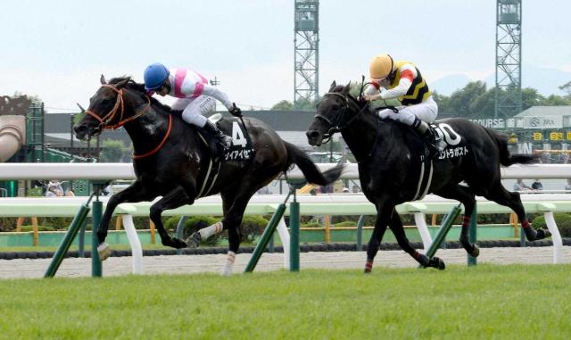 ディープ産駒　JRA史上初の2800勝多達成!