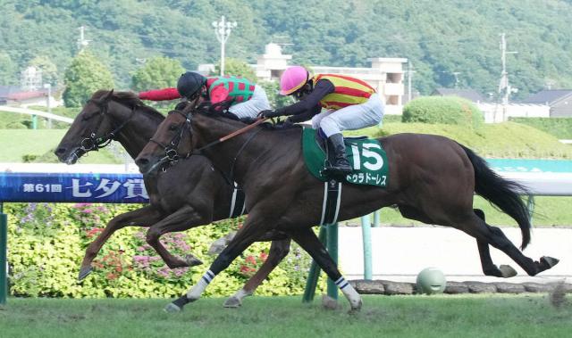 【七夕賞】コスモフリーゲン重賞初挑戦V!柴田大4年8カ月ぶり重賞制覇