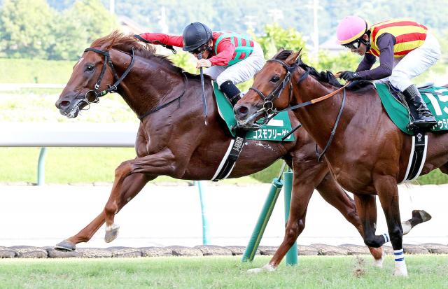 【七夕賞】コスモフリーゲンが重賞初挑戦V　久々重賞勝利の柴田大知騎手「頑張れー!」声出た頭差逃げ切り