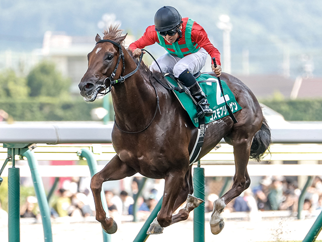 【七夕賞結果】コスモフリーゲンが連勝で重賞初V 柴田大知騎手は4年7か月ぶりの重賞勝利